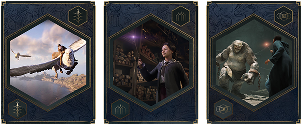 图片[3]-霍格沃茨之遗/Hogwarts Legacy(整合豪华版+全DLC)-织奇网